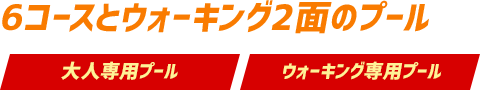 6コースとウォーキング2面のプール