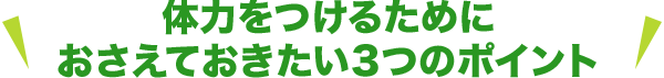 体力をつけるために<br>おさえておきたい3つのポイント