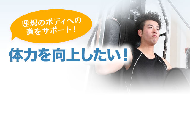 体力を向上したい方必見!理想のボディへの道をサポート