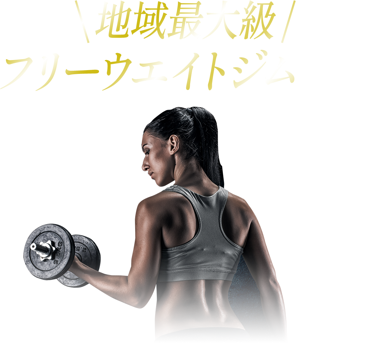 2024.02アスウェル三軒茶屋リニューアルオープン地域最大級フリーウエイトジム誕生